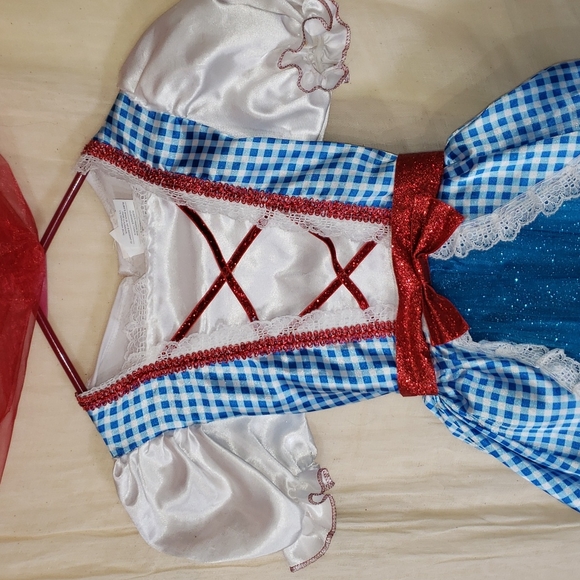 Kids Wizard of Oz Glitter Dorothy Costume- Wizard of Oz Size Small - Picture 3 of 9